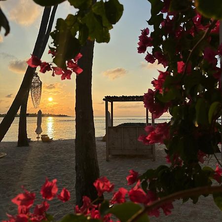 Samura Maldives Guest House Thulusdhoo Exterior photo