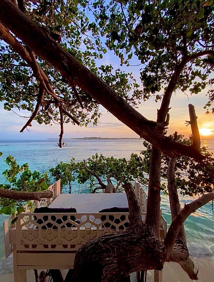 Samura Maldives Guest House Thulusdhoo Exterior photo