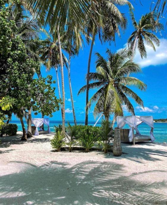 Samura Maldives Guest House Thulusdhoo Exterior photo