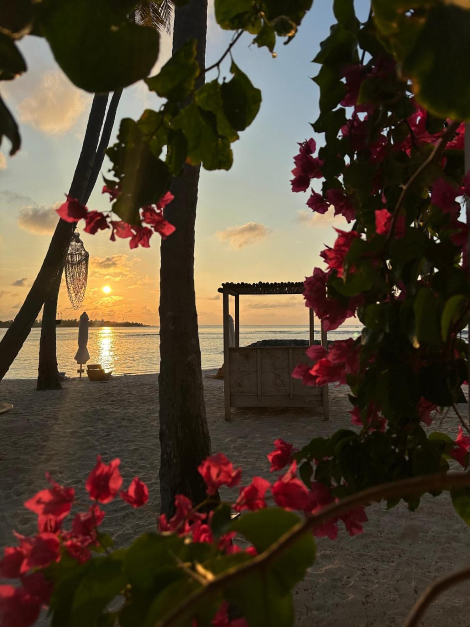 Samura Maldives Guest House Thulusdhoo Exterior photo